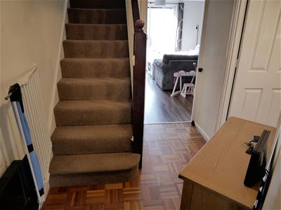 Picture 13